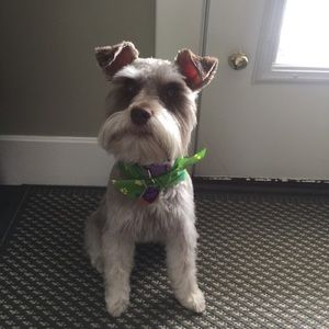 Meet your Posher, Donna